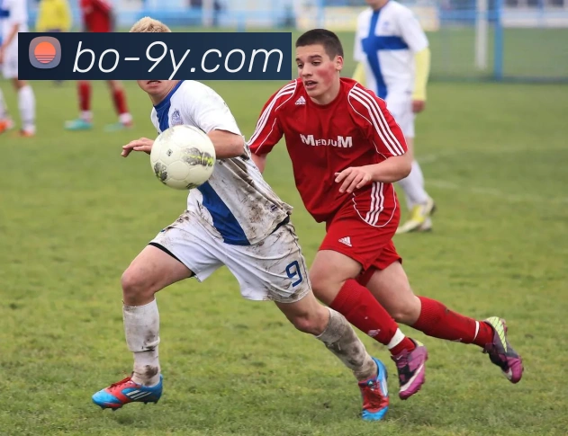 九游官网服务体系